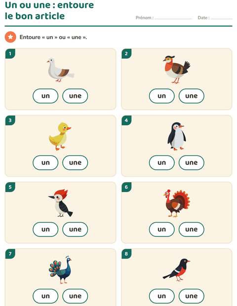 Aperçu de la fiche Le ou la avec Oiseaux 2 pour École maternelle (grande section, 5-7 ans)