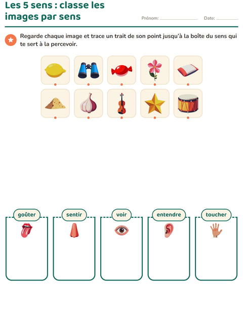 Les 5 sens : classe les images par sens