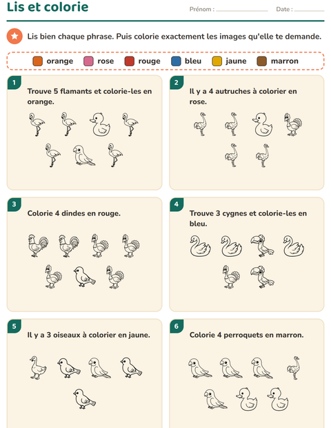 Aperçu de la fiche Lis et colorie avec Oiseaux N&B 2 pour CP (cours préparatoire)