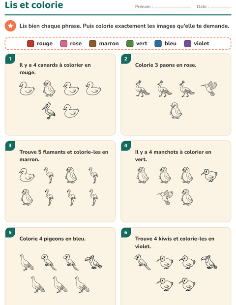 Aperçu de la fiche Lis et colorie avec Oiseaux N&B pour CP (cours préparatoire)
