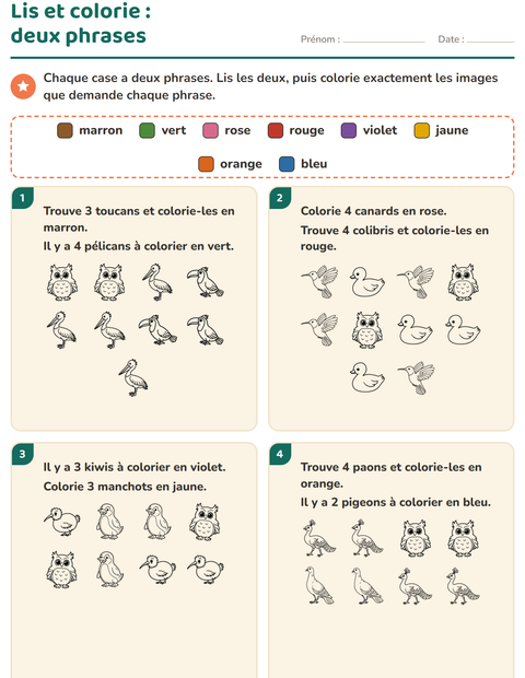 Aperçu de la fiche Lis et colorie avec Oiseaux N&B pour CP (cours préparatoire)