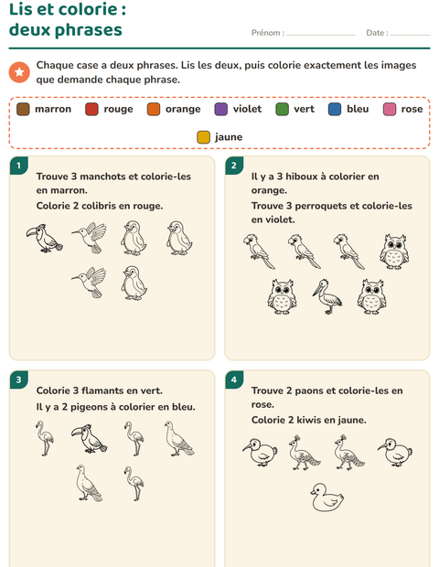 Aperçu de la fiche Lis et colorie avec Oiseaux N&B pour CP (cours préparatoire)