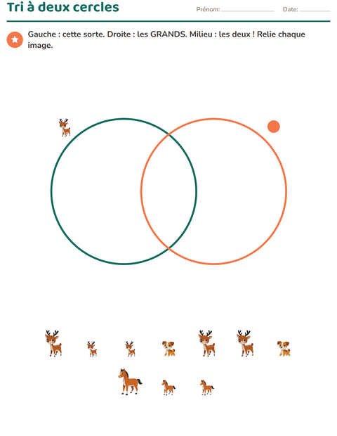 Aperçu de la fiche Logique visuelle avec Animaux pour CE2 (cours élémentaire 2)