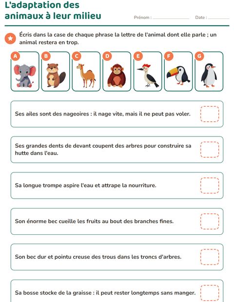 L’adaptation des animaux à leur milieu