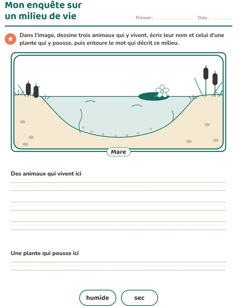 Aperçu de la fiche Milieux de vie des animaux pour CE1 (cours élémentaire 1)