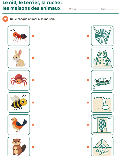 milieux-de-vie-des-animaux-k383