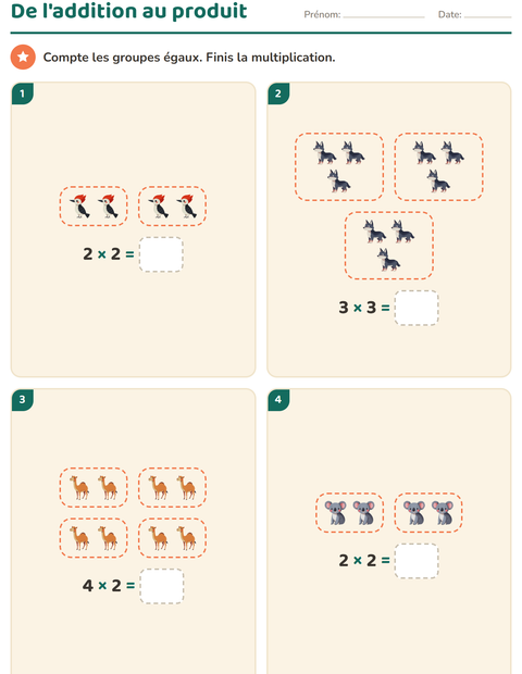 La multiplication en réseaux au CE1 — 3