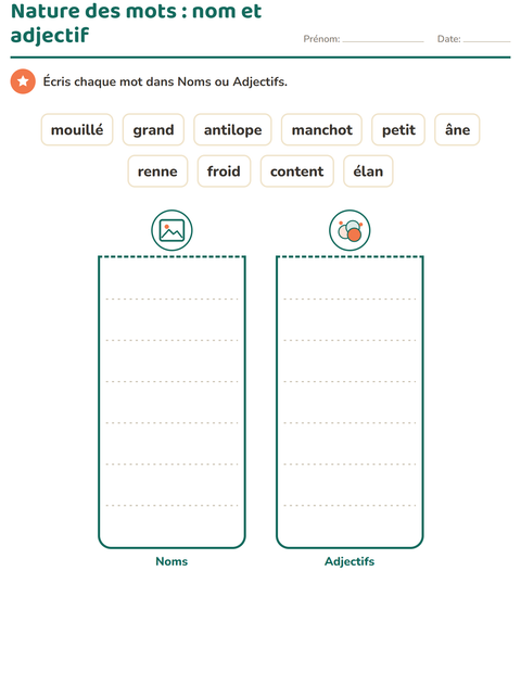 Noms et adjectifs : dix mots, deux boîtes, aucune image