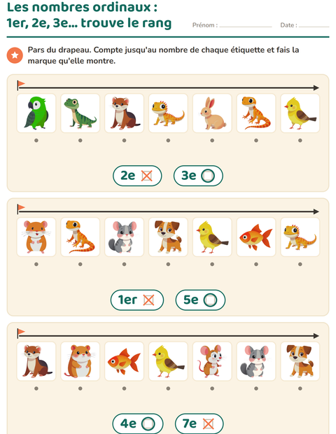 Aperçu de la fiche Les nombres ordinaux avec Animaux de compagnie pour École maternelle (grande section, 5-7 ans)