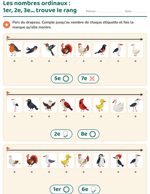 Aperçu de la fiche Les nombres ordinaux avec Oiseaux 2 pour École maternelle (grande section, 5-7 ans)