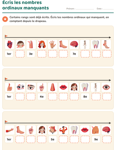 Aperçu de la fiche Les nombres ordinaux avec Parties du corps pour CP (cours préparatoire)