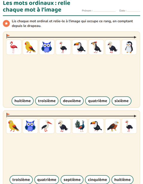 Aperçu de la fiche Les nombres ordinaux avec Oiseaux pour CP (cours préparatoire)