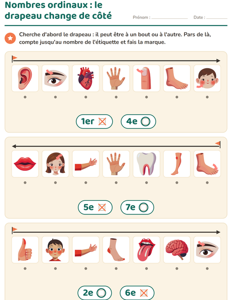 nombres-ordinaux-parties-du-corps-k336-6