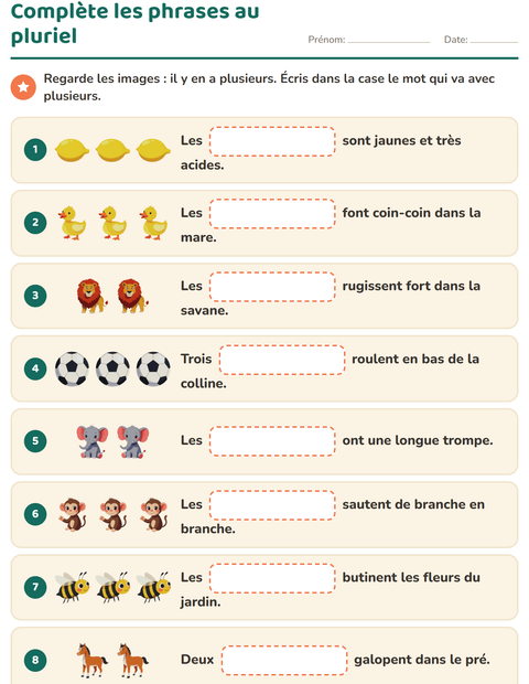 Complète les phrases au pluriel