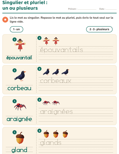 Aperçu de la fiche Singulier et pluriel avec Divers pour École maternelle (grande section, 5-7 ans)