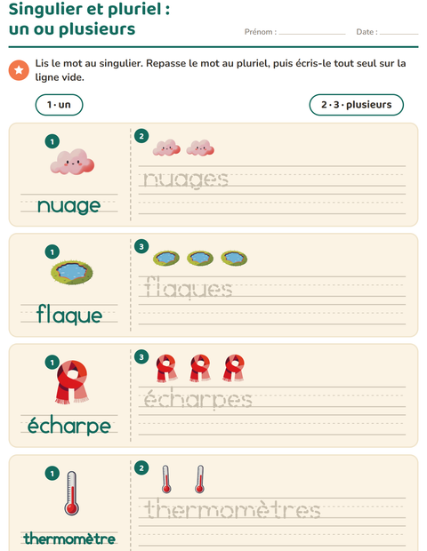Aperçu de la fiche Singulier et pluriel avec Météo pour École maternelle (grande section, 5-7 ans)