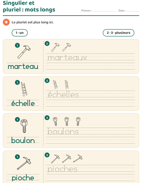 Aperçu de la fiche Singulier et pluriel avec Outils NB pour École maternelle (grande section, 5-7 ans)