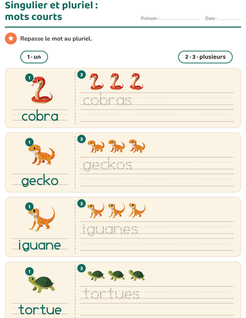 Aperçu de la fiche Singulier et pluriel avec Reptiles et amphibiens pour École maternelle (grande section, 5-7 ans)