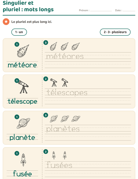 Aperçu de la fiche Singulier et pluriel avec Espace NB pour École maternelle (grande section, 5-7 ans)