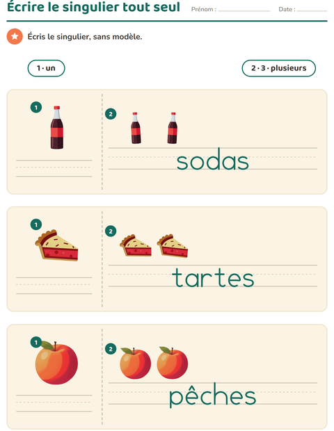 Aperçu de la fiche Singulier et pluriel avec Au supermarché pour École maternelle (grande section, 5-7 ans)