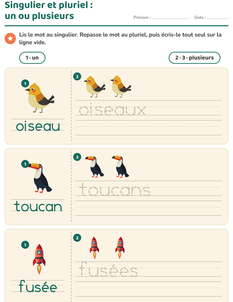 Aperçu de la fiche Singulier et pluriel avec Choses qui volent pour École maternelle (grande section, 5-7 ans)