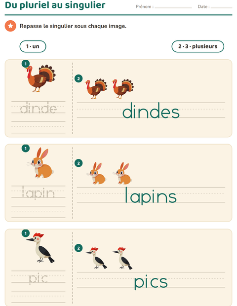 Aperçu de la fiche Singulier et pluriel avec Créatures de la forêt pour École maternelle (grande section, 5-7 ans)