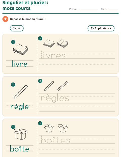 Aperçu de la fiche Singulier et pluriel avec Éducation NB pour École maternelle (grande section, 5-7 ans)