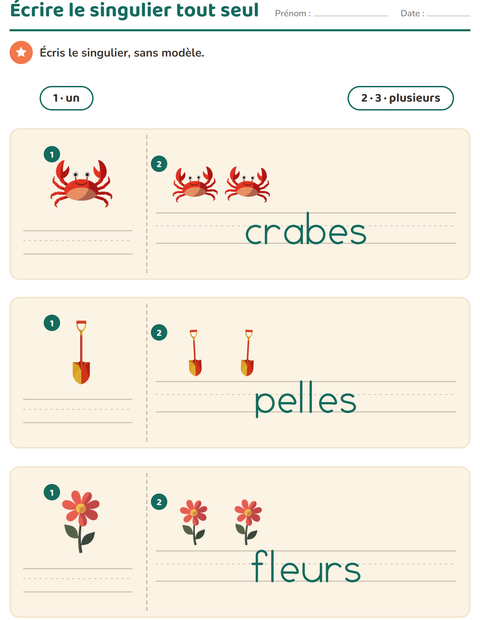 Aperçu de la fiche Singulier et pluriel avec Été pour École maternelle (grande section, 5-7 ans)