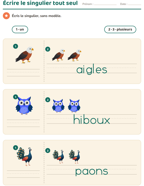Aperçu de la fiche Singulier et pluriel avec Oiseaux pour École maternelle (grande section, 5-7 ans)