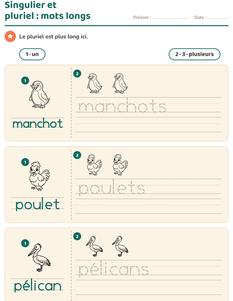 Aperçu de la fiche Singulier et pluriel avec Oiseaux N&B pour École maternelle (grande section, 5-7 ans)