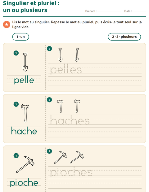 Aperçu de la fiche Singulier et pluriel avec Outils NB pour École maternelle (grande section, 5-7 ans)