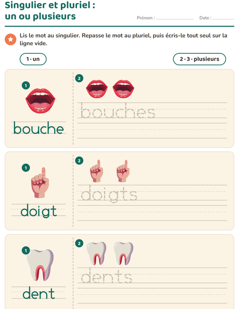 Aperçu de la fiche Singulier et pluriel avec Parties du corps pour École maternelle (grande section, 5-7 ans)
