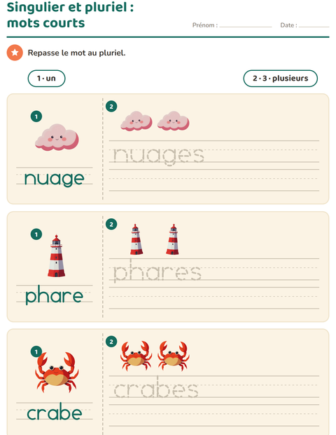 Aperçu de la fiche Singulier et pluriel avec Plage pour École maternelle (grande section, 5-7 ans)