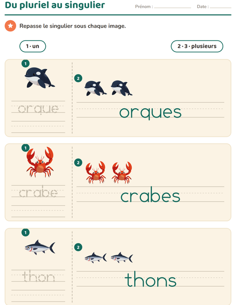 Aperçu de la fiche Singulier et pluriel avec Vie océanique pour École maternelle (grande section, 5-7 ans)