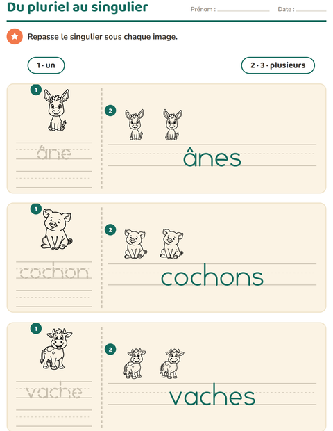 Aperçu de la fiche Singulier et pluriel avec Ferme NB pour École maternelle (grande section, 5-7 ans)