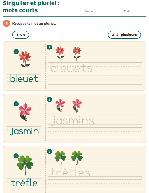 Aperçu de la fiche Singulier et pluriel avec Fleurs pour École maternelle (grande section, 5-7 ans)