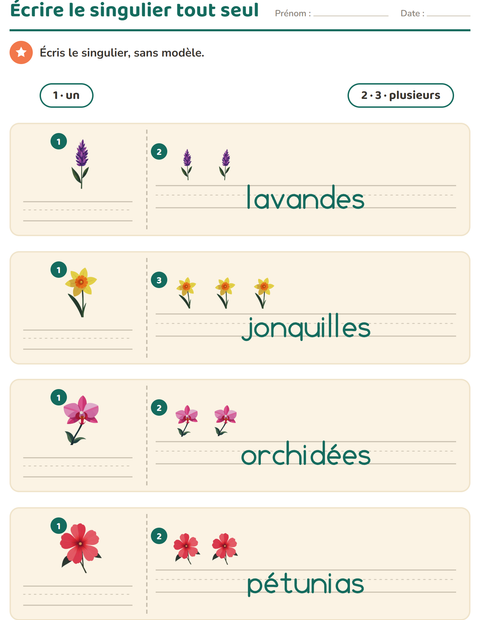 Aperçu de la fiche Singulier et pluriel avec Fleurs pour École maternelle (grande section, 5-7 ans)