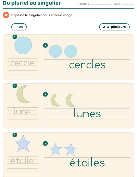 Aperçu de la fiche Singulier et pluriel avec Formes pour École maternelle (grande section, 5-7 ans)