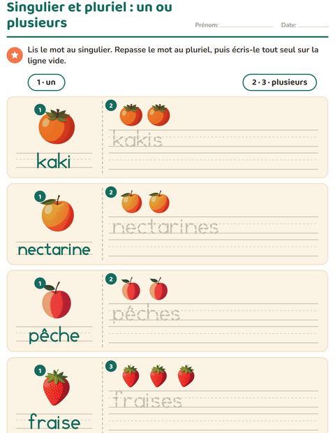 singulier-et-pluriel-fruits-k287