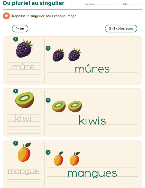 singulier-et-pluriel-fruits-k313