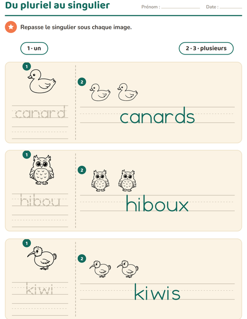 Aperçu de la fiche Singulier et pluriel avec Oiseaux N&B pour École maternelle (grande section, 5-7 ans)