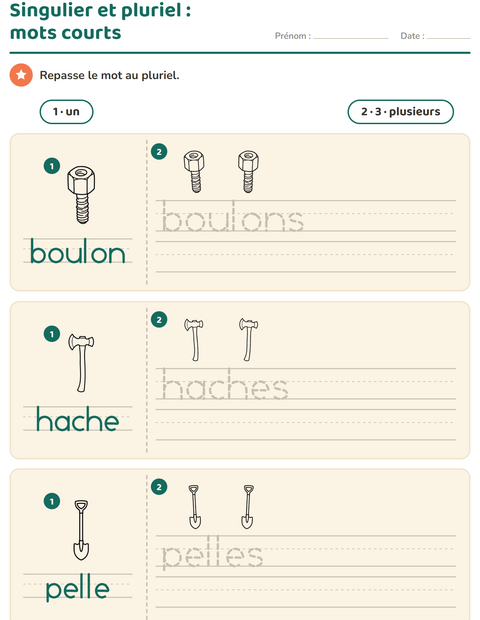 Aperçu de la fiche Singulier et pluriel avec Outils NB pour École maternelle (grande section, 5-7 ans)