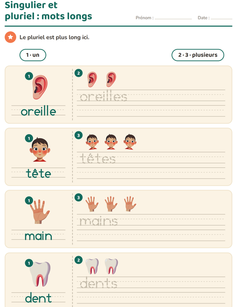 Aperçu de la fiche Singulier et pluriel avec Parties du corps pour École maternelle (grande section, 5-7 ans)