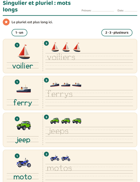 Singulier et pluriel avec des mots longs : un véhicule, trois véhicules