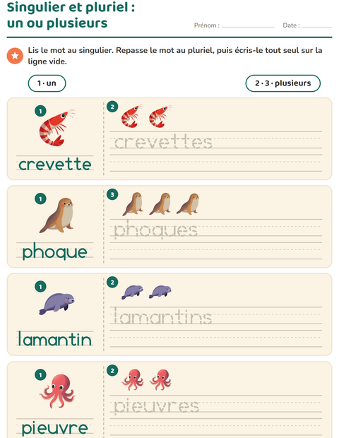 Aperçu de la fiche Singulier et pluriel avec Vie océanique pour École maternelle (grande section, 5-7 ans)