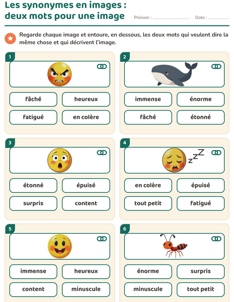 Les synonymes en images : deux mots pour une image