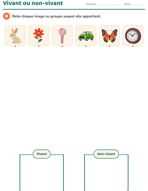 Aperçu de la fiche Tri en sciences pour École maternelle (grande section, 5-7 ans)