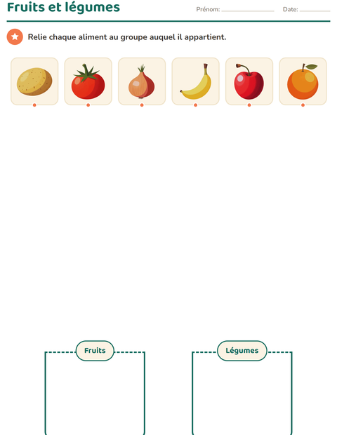 Aperçu de la fiche Tri en sciences pour École maternelle (grande section, 5-7 ans)