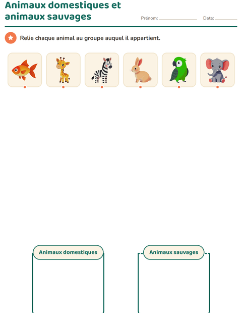 Aperçu de la fiche Tri en sciences pour École maternelle (grande section, 5-7 ans)