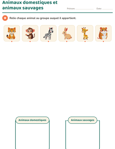 Aperçu de la fiche Tri en sciences pour École maternelle (grande section, 5-7 ans)